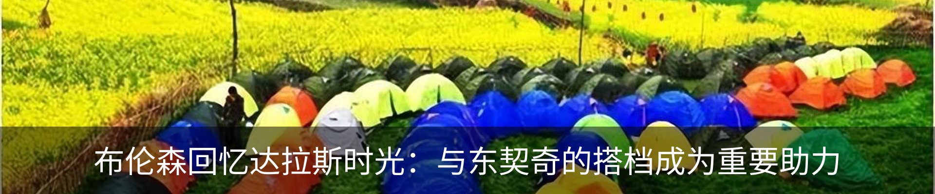 最新动态