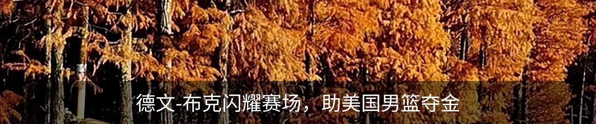 最新动态