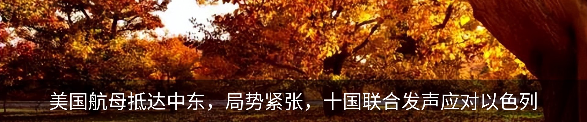 最新动态